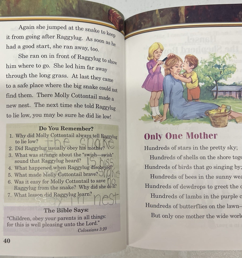 Abeka Hidden Treasure 2c 2nd grade reader homeschool2