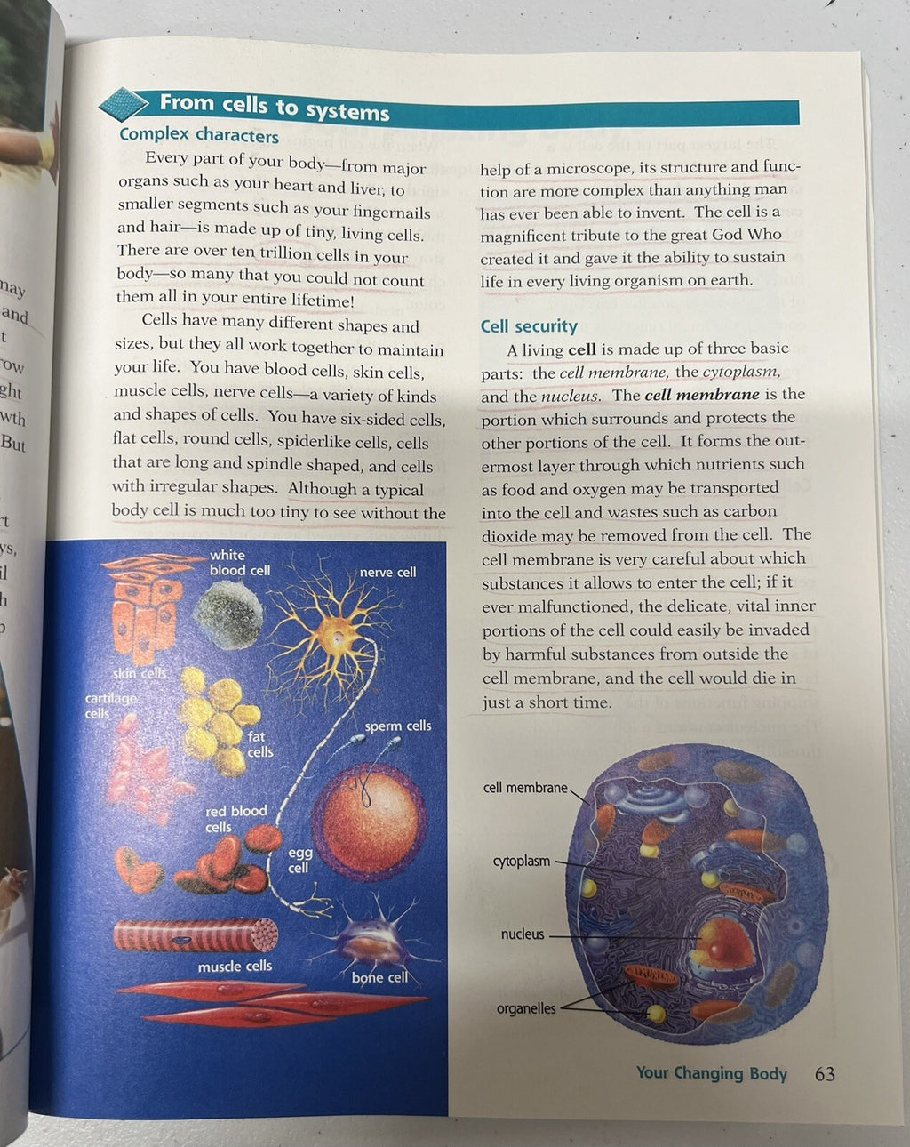 Abeka Choosing Good Health student textbook 6th grade homeschool2
