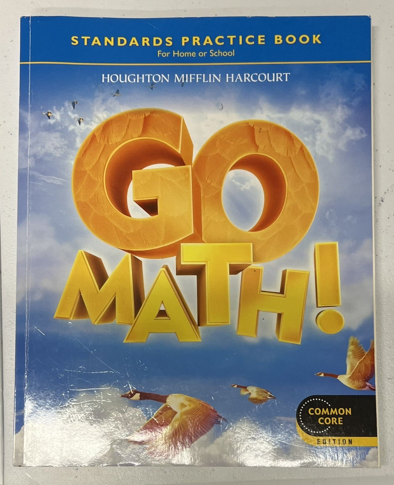 Go Math! Grade 4 Work-text AND Practice Book - 4th grade homeschool - HMH9