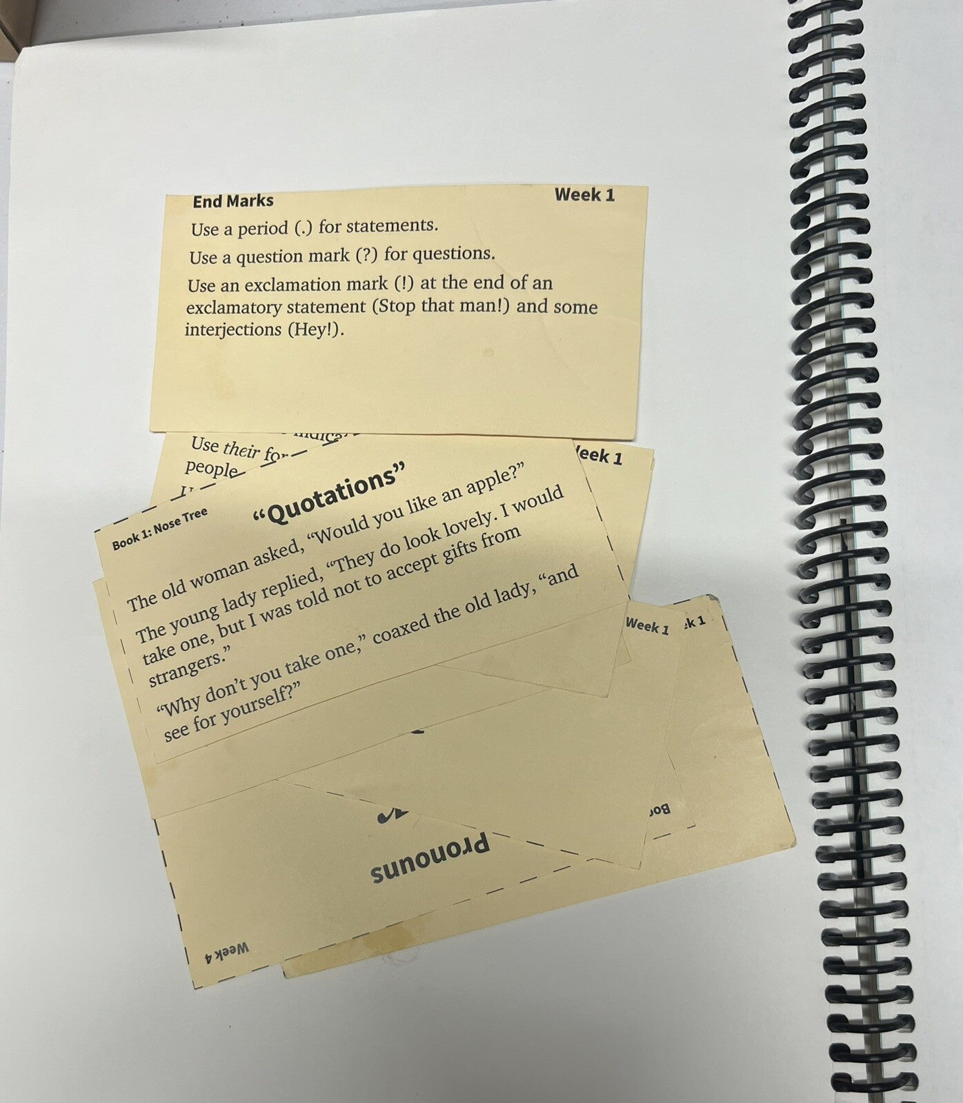 IEW Fix It Grammar The Nose Tree Teacher's Manual Book 1  3rd Edition2