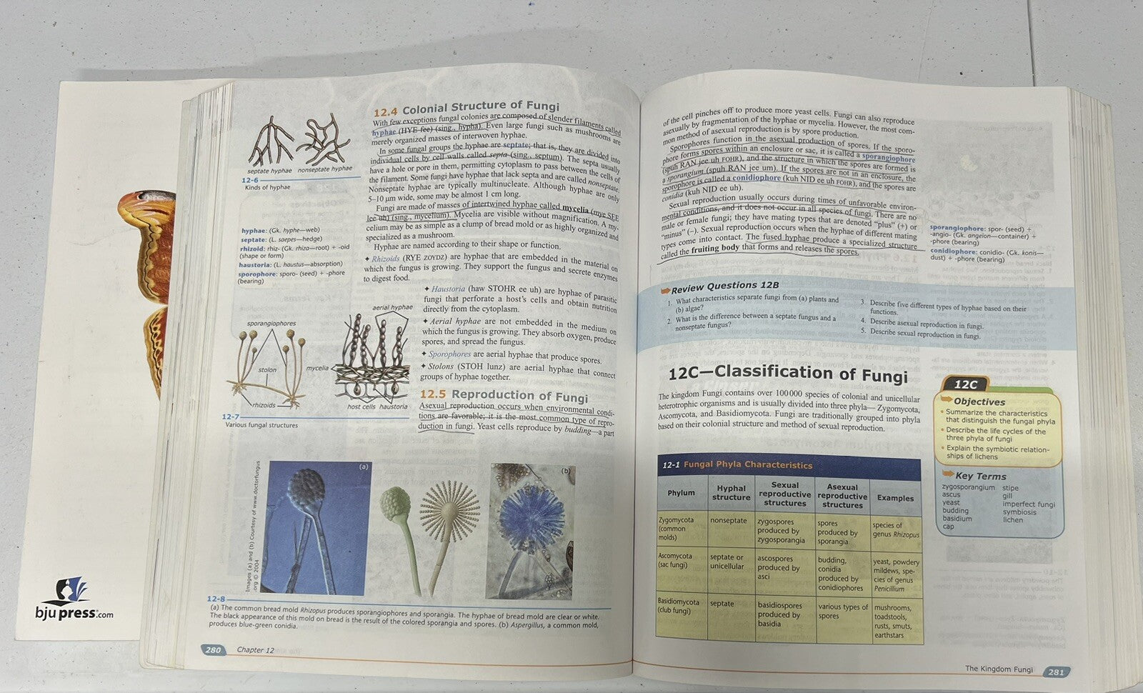 BJU Biology fourth ed Textbook and Lab Manual BJU Press homeschool science3