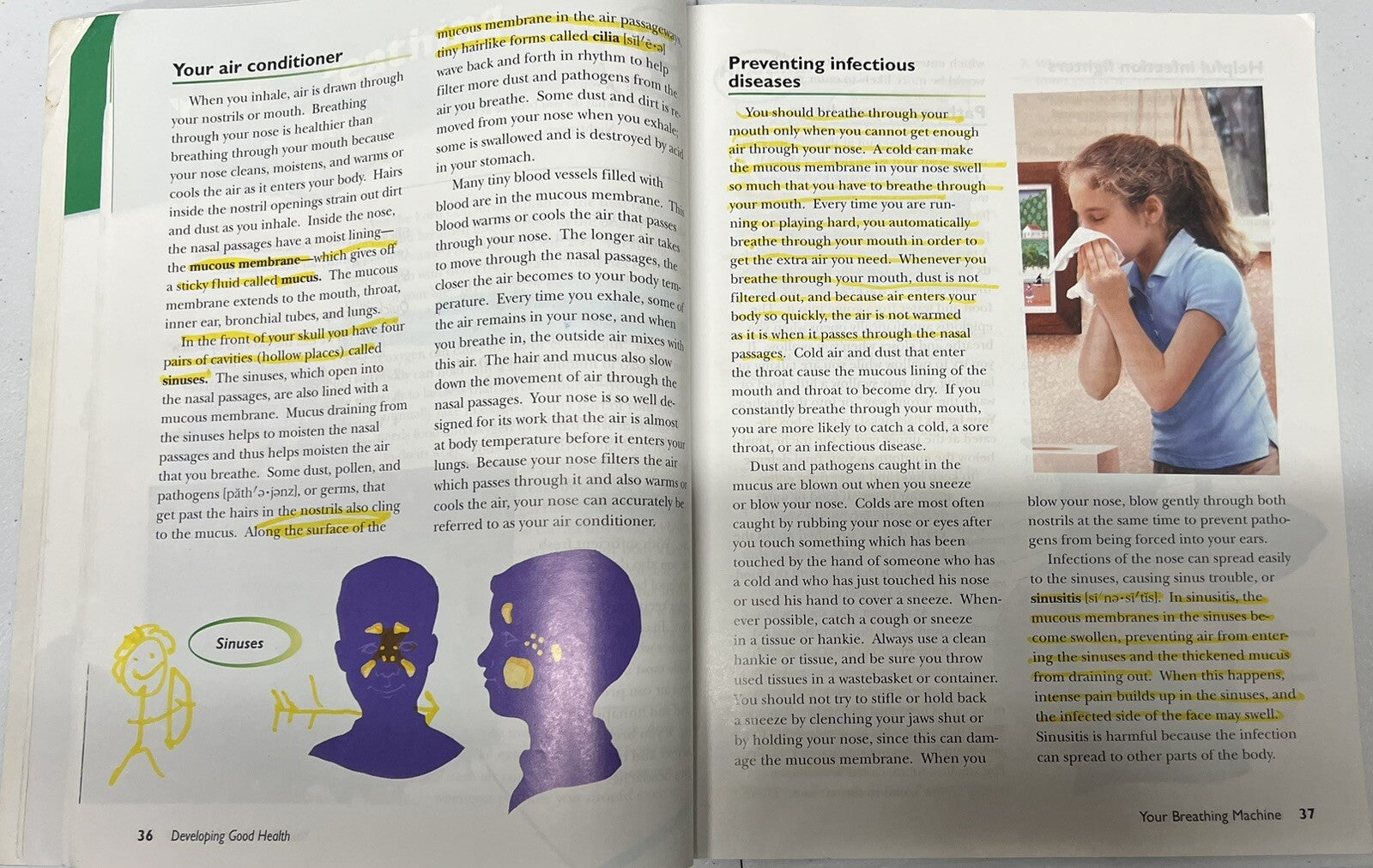 Abeka Developing Good Health 4th grade third edition READ5
