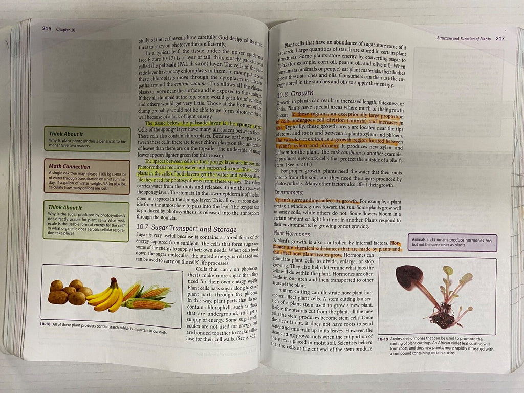 BJU Life Science 4th Edition Set Textbook Lab Manual and Lab Manual Teacher Ed.3