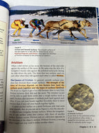 Science Explorer M : Motion Forces & Energy Prentice Hall Pearson Calvert School1