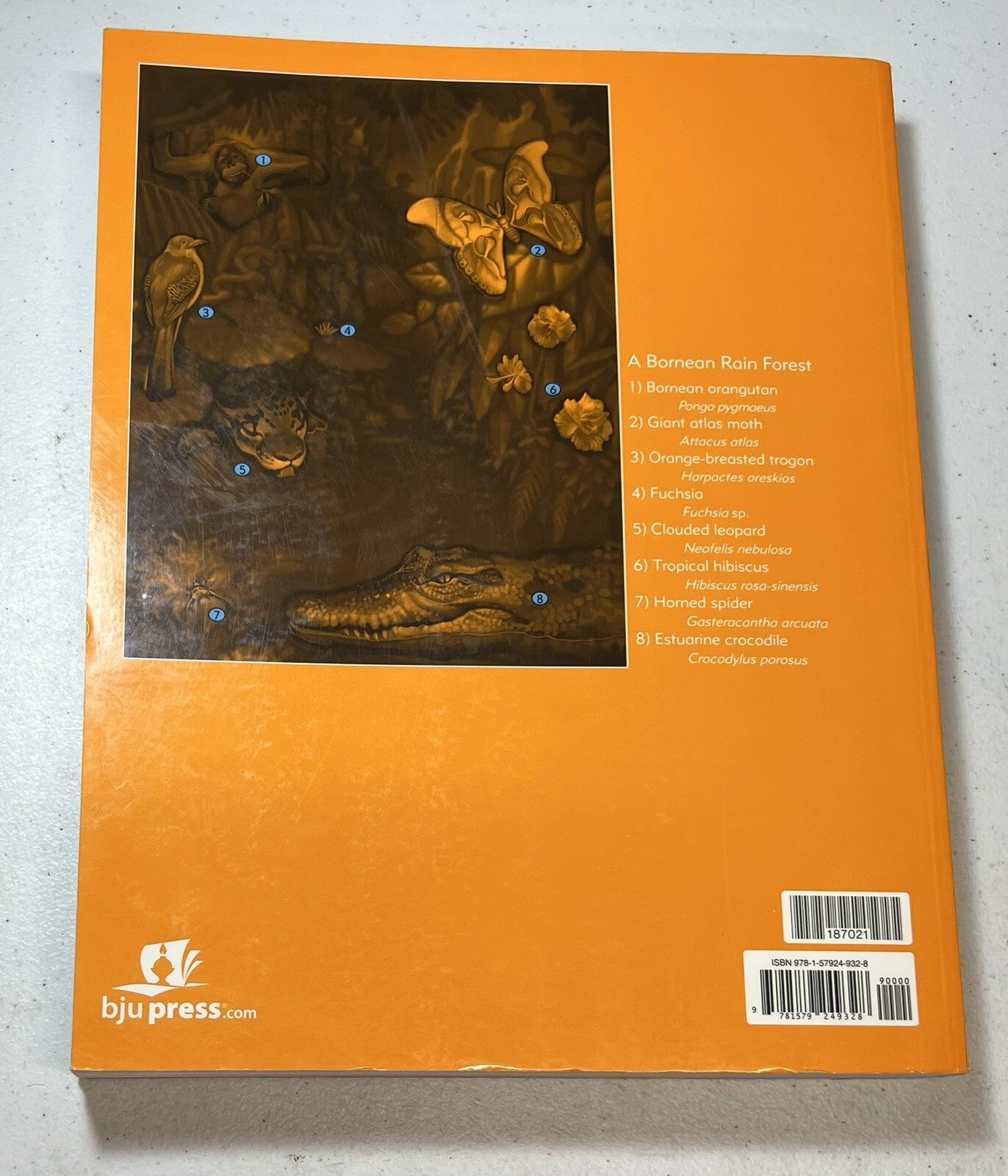BJU Biology B third edition textbook with lab homeschool science1