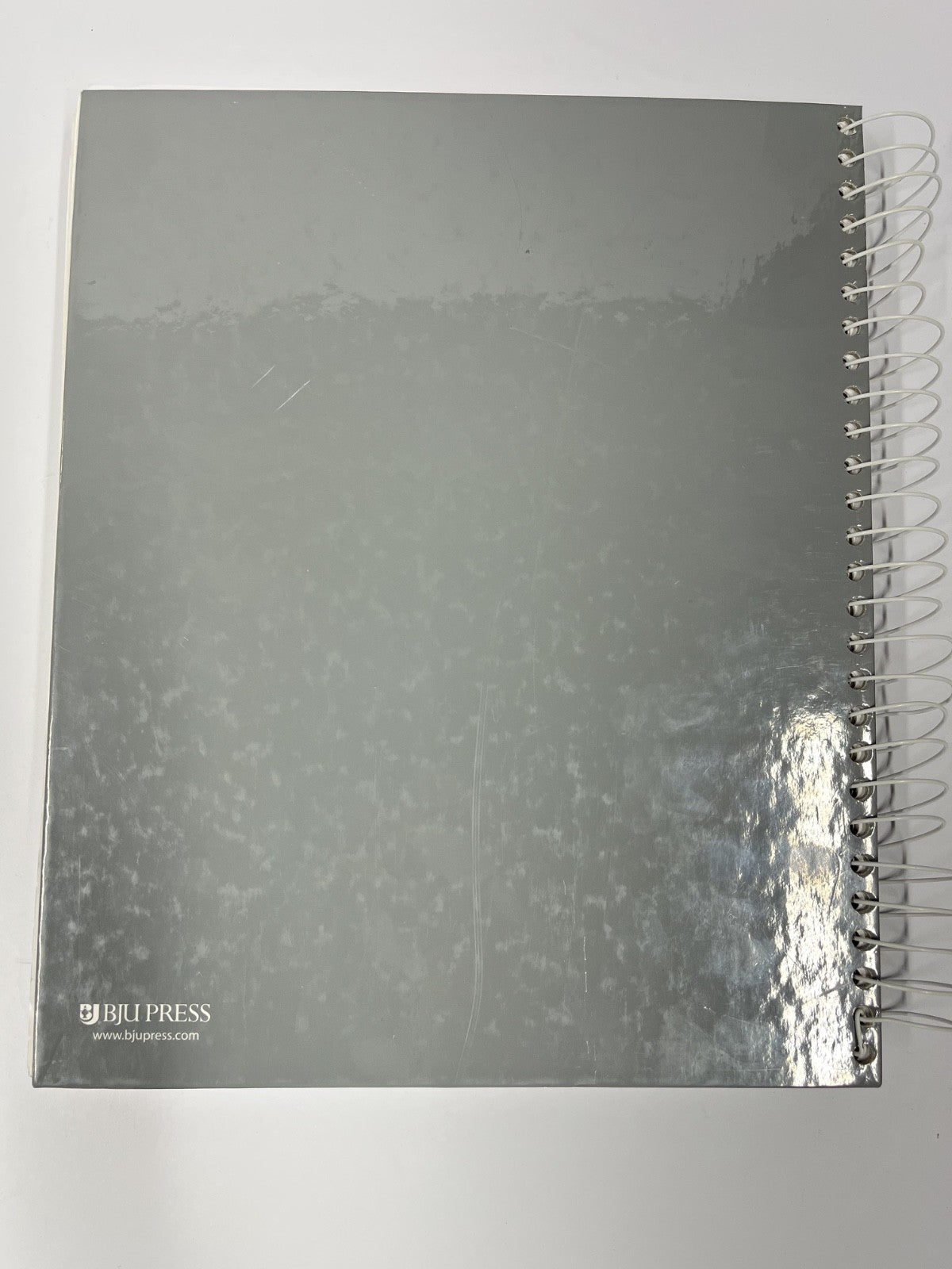 BJU Writing & Grammar 10 Teacher's Edition BOOK ONE ONLY 2nd edition1