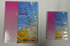 Math U See GAMMA Instruction Manual & DVD Homeschool Set multiplication0