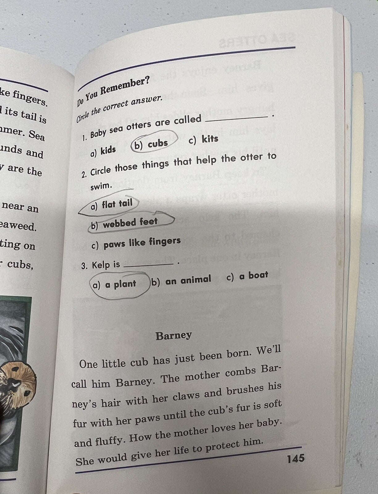 Abeka All Kinds of Animals 2nd grade Reader 2.9 Homeschool Read description!5