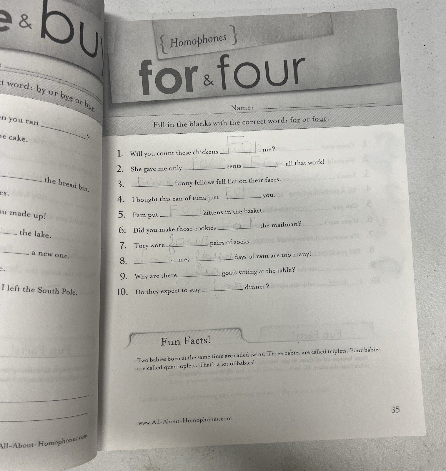 All about Homophones : Your Complete Tool Kit by Marie Rippel2