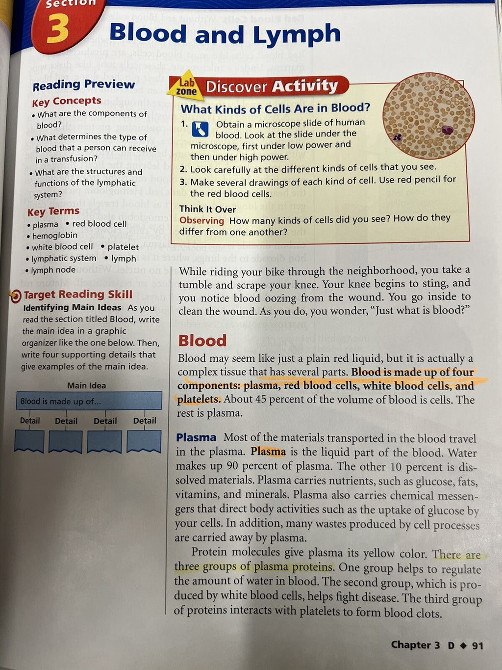 Science Explorer D  Human Biology  Health Prentice Hall Pearson Calvert School3
