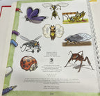 You Can Draw  8 Books In 1  Homeschool Art Great Condition1
