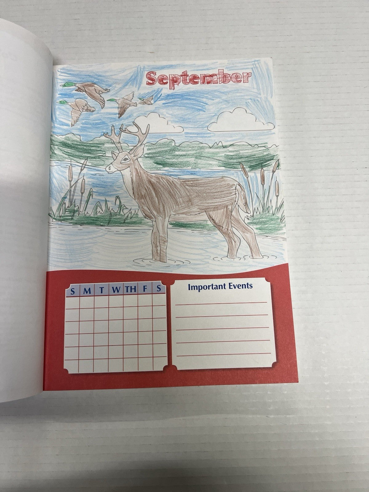 Abeka Art A third edition homeschool2