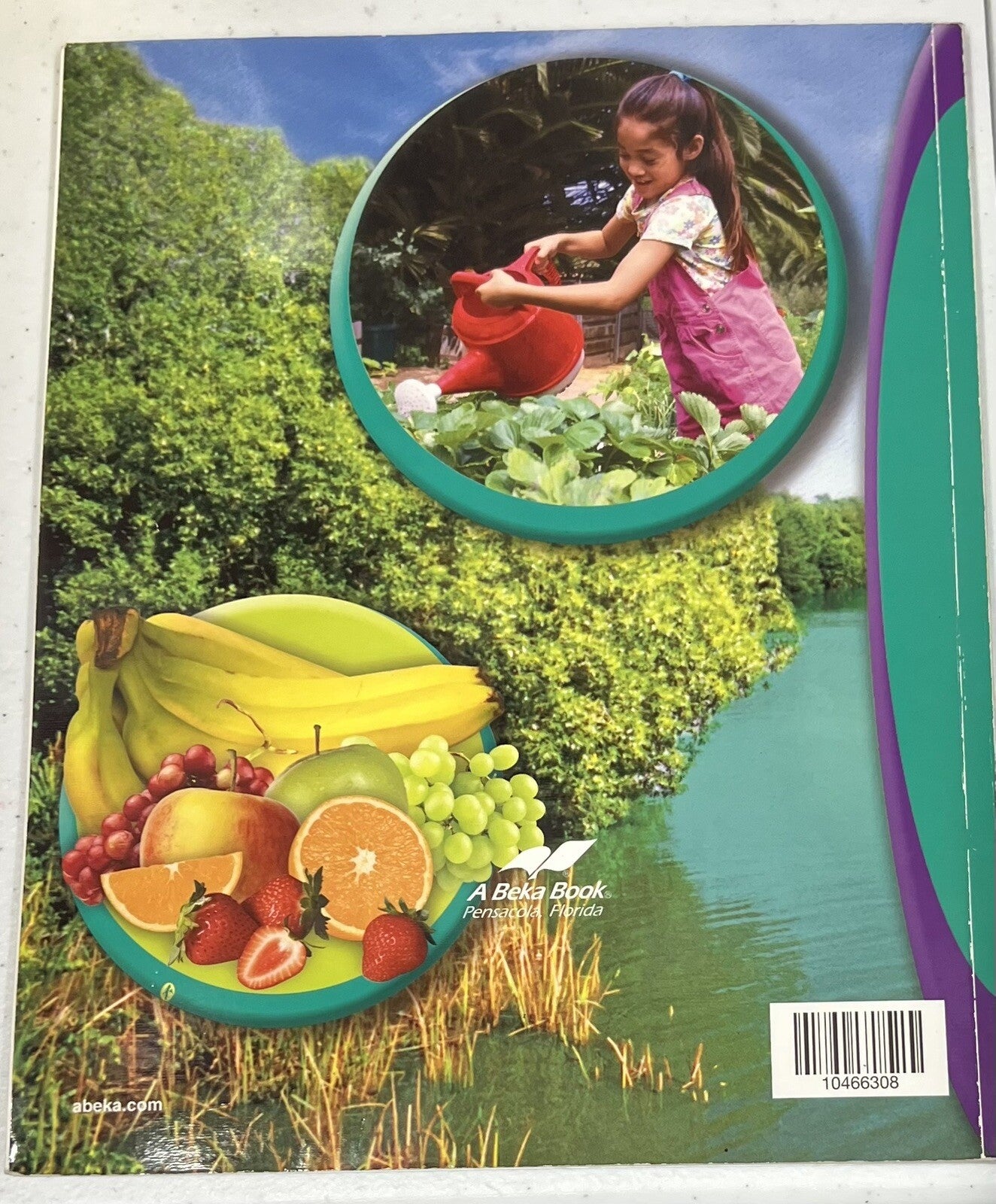 Abeka Health Safety and Manners 3 3rd grade Homeschool1