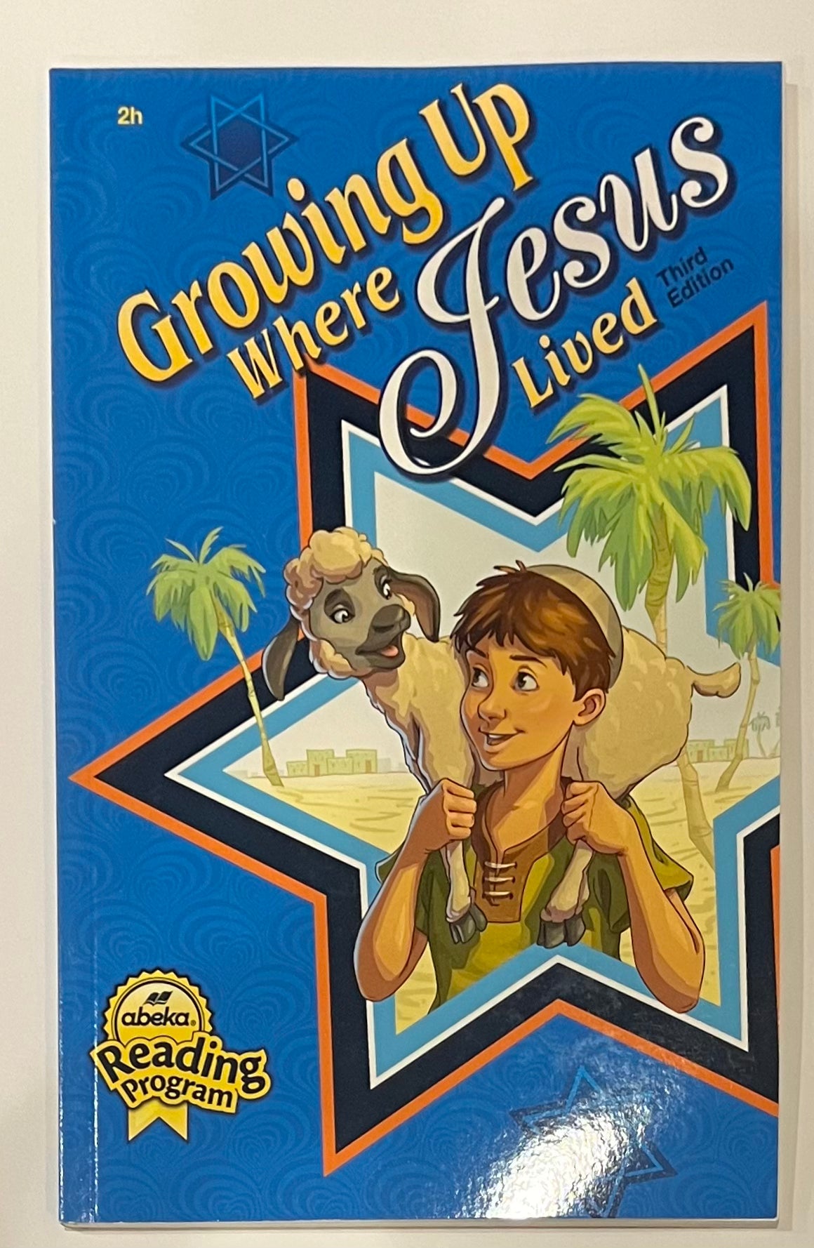 Abeka Growing Up Where Jesus Lived | 2nd grade reader 2h