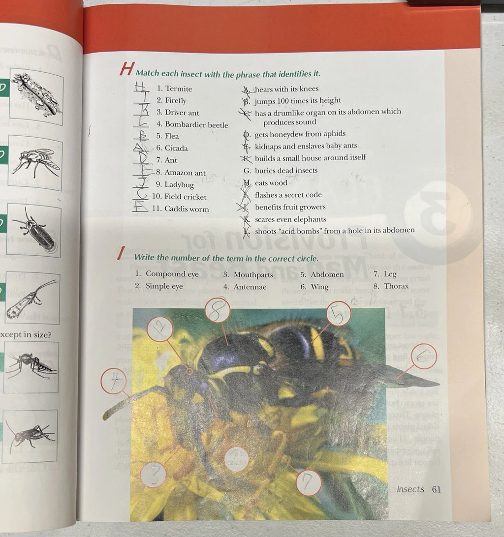 Abeka Understanding God's World | 3rd ed. | Textbook